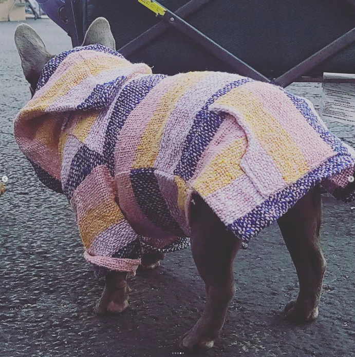Baja Poncho