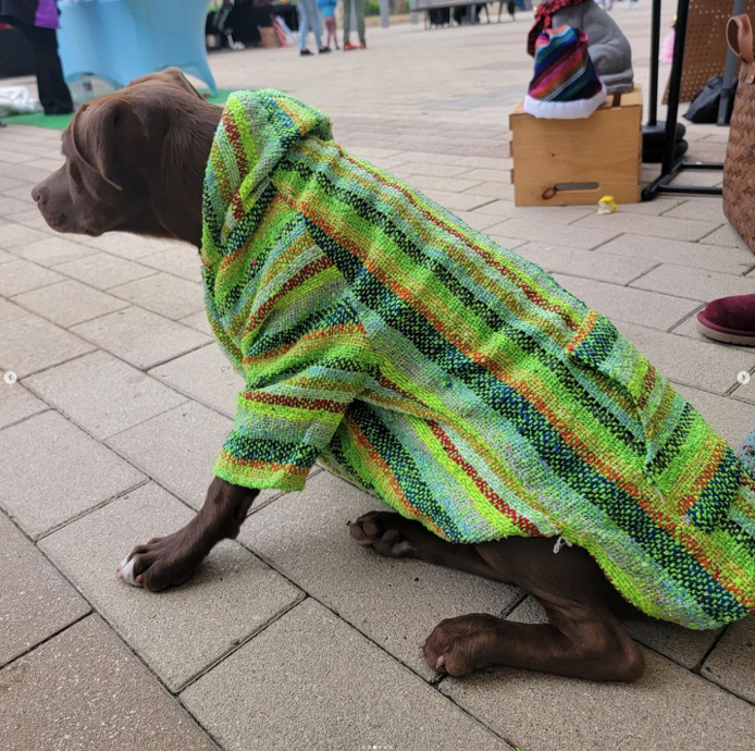 Baja Poncho