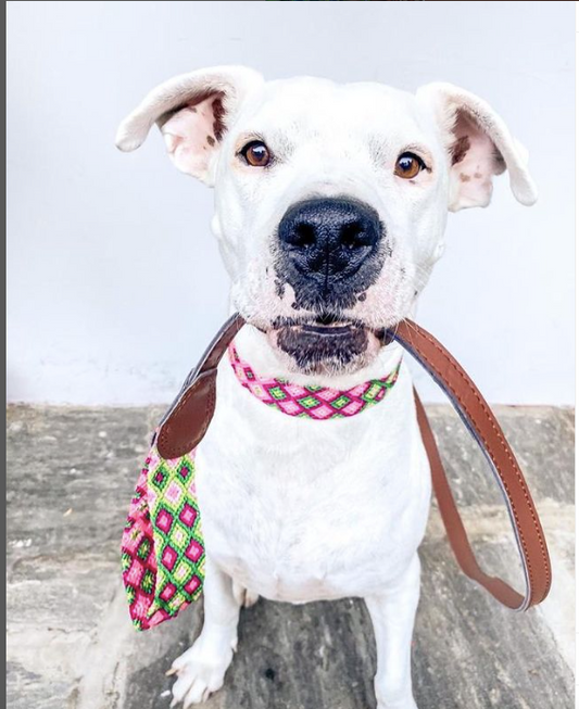 Handmade Artisanal Leashes