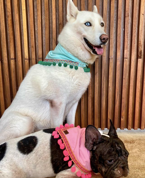 Pom - Poms Bandana