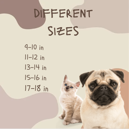 Pet | Amethyst + Raw Cognac Amber Collar