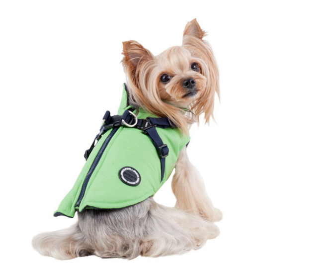 Puppia Winter Dog Coat with Integrated Harness