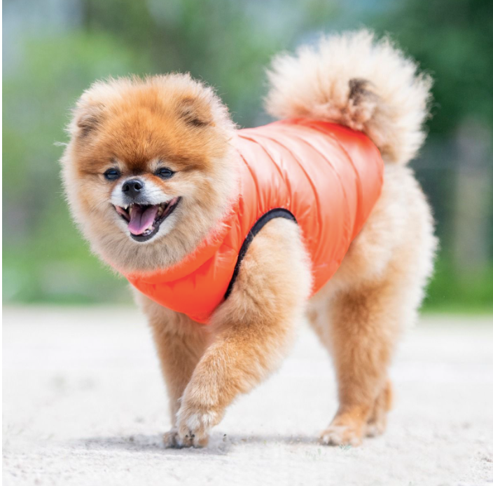 Puppia Ultra-Light Vest