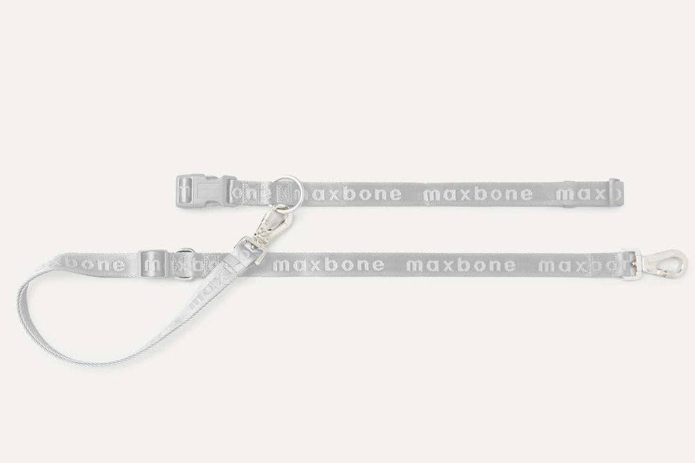 Go With Ease! Hands Free Leash