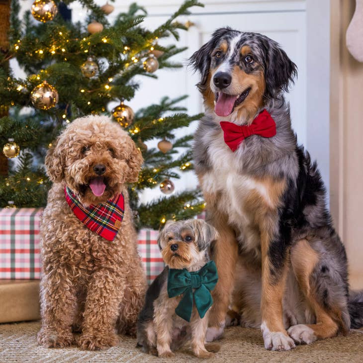 Plaid Flannel Dog Bandana