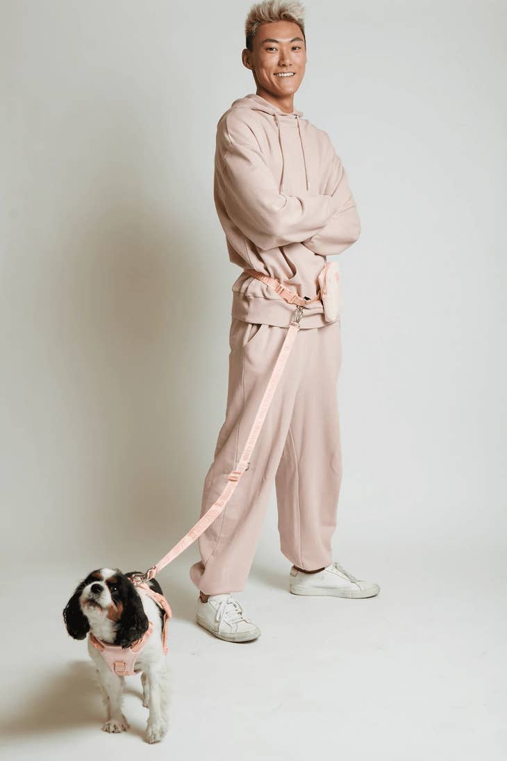 Go With Ease! Hands Free Leash