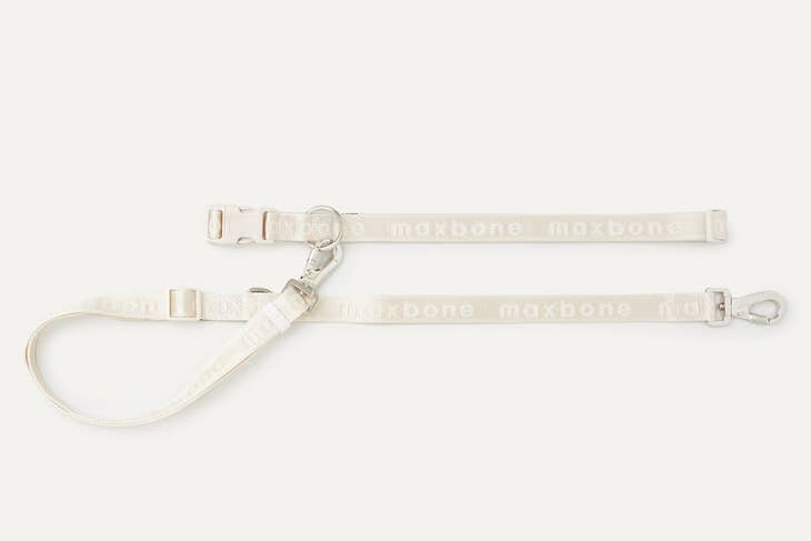 Go With Ease! Hands Free Leash
