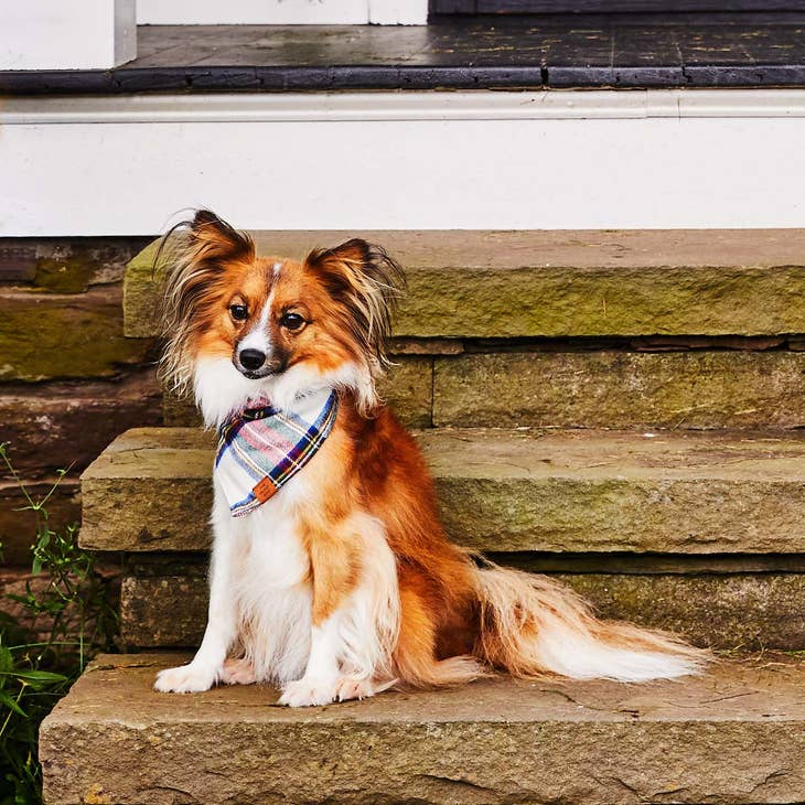 Regent Plaid Holiday Dog Bandana