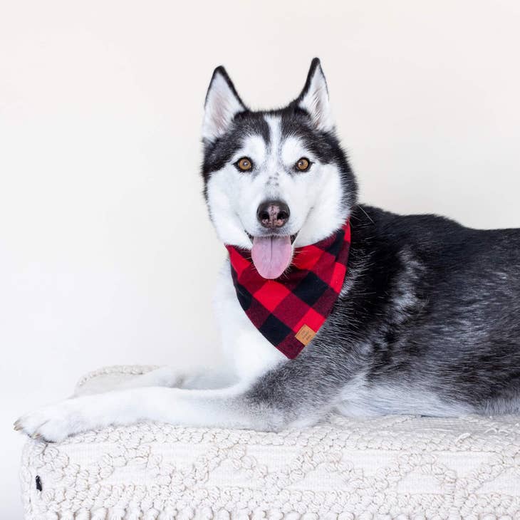 Red and Black Check Flannel Dog Bandana