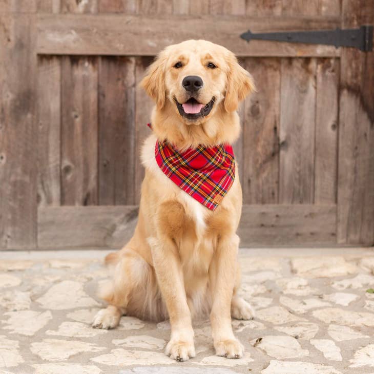 Plaid Flannel Dog Bandana