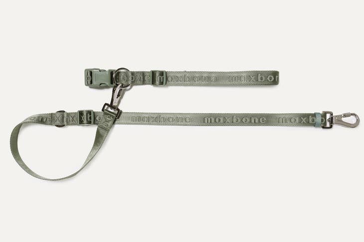 Go With Ease! Hands Free Leash