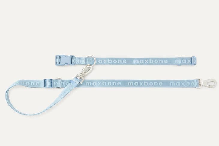 Go With Ease! Hands Free Leash