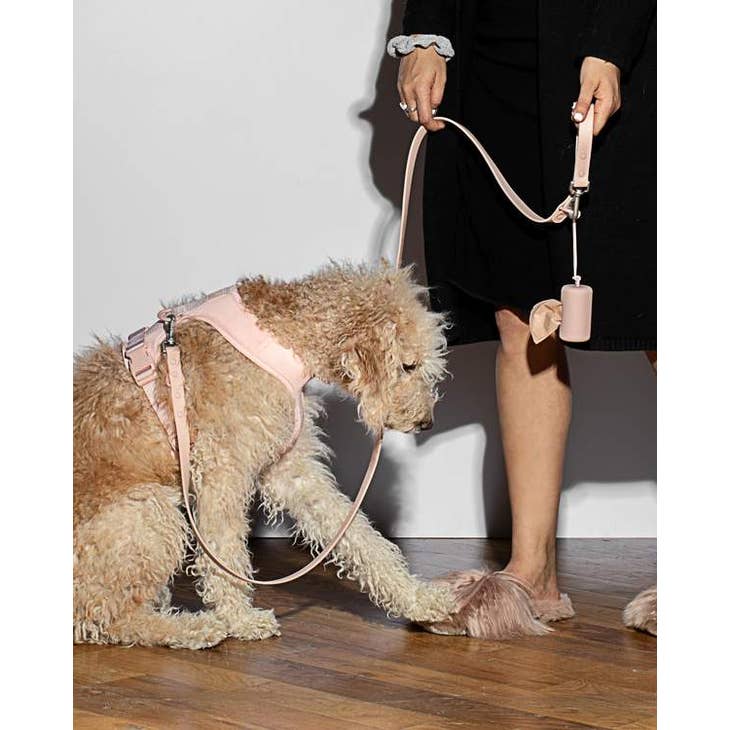 Poop Bag Carrier