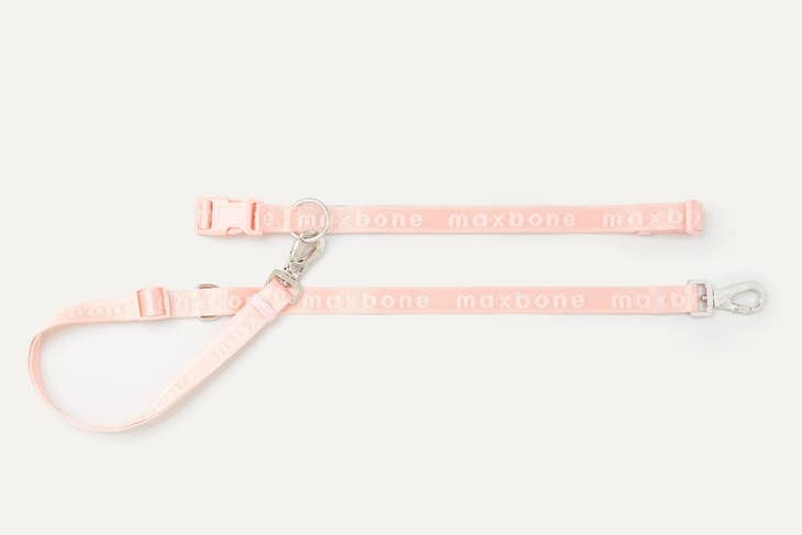 Go With Ease! Hands Free Leash