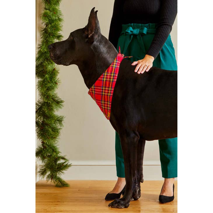 Plaid Flannel Dog Bandana