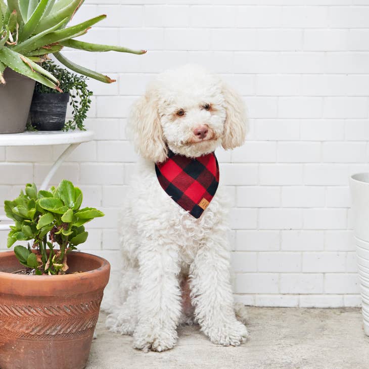 Red and Black Check Flannel Dog Bandana