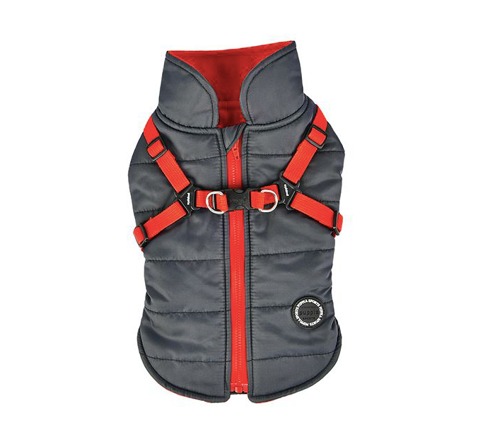Puppia Winter Dog Coat with Integrated Harness