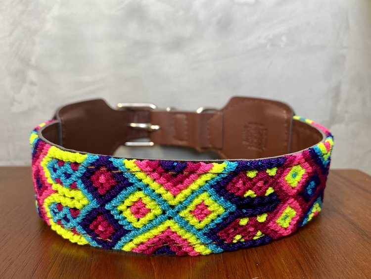 Colorful collars on sale